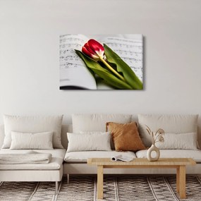 Tablou - Lalea roșie (90x60 cm)