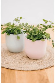 Vas din ceramica Culoare albastru deschis, SHIRE