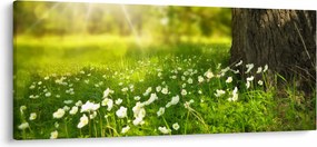 Tablou cu poiana și flori (120x50 cm)