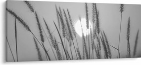 Tablou - Pajiște la apus (120x50 cm)