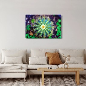 Tablou cu cactus (90x60 cm)