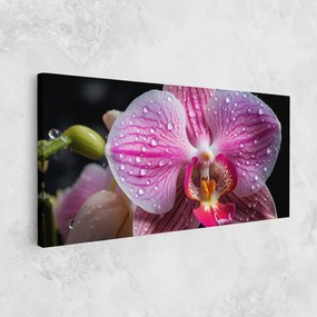 Tablou Canvas, 50x100cm, Dormitor si Living, Flori, Orhidee, Pretty Orchid After Rain