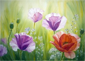 Tablou pe sticlă - Maci (70x50 cm)