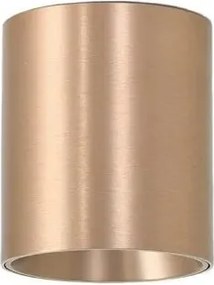 Spot aplicat bronz LED BABIL 10W CCT