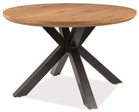 Masă de sufragerie Regenia (stejar + negru) (pentru 4 persoane). Promo -6%. 1050772