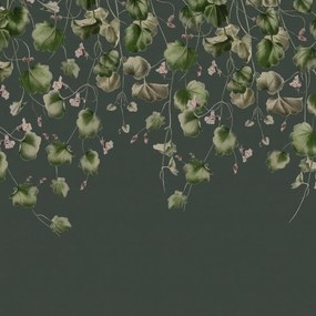 Fototapet, Dangling Ivy, Dark, Rebel Walls