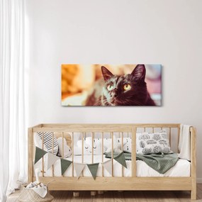 Tablou pisica neagră (120x50 cm)