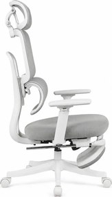 Scaun Ergonomic Premium cu Suport pentru Picioare, Reclinare 145°, Tetieră Reglabilă, Cotiere 3D, Suport Lombar Elastic și Șezut cu adâncime reglabilă, Gri