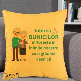Cadou pentru Bunici - Perna Personalizata Bunicii Iubirea Infloreste Cuplu Senior Teal, 40x40 cm, Galben, Husa Detasabila, Perna Inclusa, BEKZ®