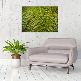 Tablou pe sticlă - Fern (70x50 cm)