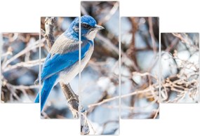 Tablou - Pasare de iarnă (150x105 cm)