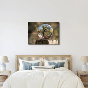 Tablou - Reflecție intr-o sferă transparentă (70x50 cm)
