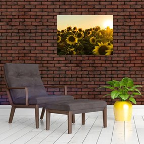 Tablou pe sticlă cu lan de floarea soarelui (70x50 cm)