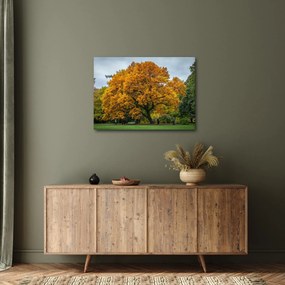Tablou cu copac (70x50 cm)
