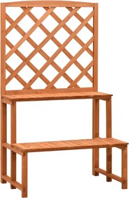 vidaXL Suport plante cu spalier, portocaliu, 70x42x120 cm, lemn brad