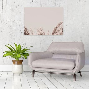 Tablou pe sticlă - Iarbă uscată (70x50 cm)