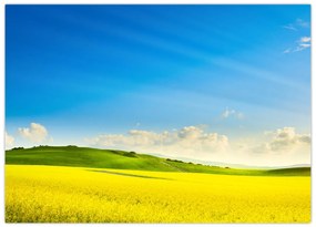 Tablou pe sticlă - Cerul de primăvară (70x50 cm)