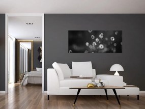 Tablou - Iarba de bumbac în pajiște (120x50 cm)