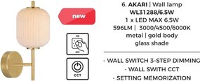 Aplica de perete LED CCT AKARI