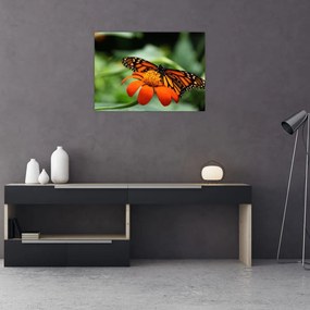 Tablou pe sticlă cu fluture pe floare (70x50 cm)