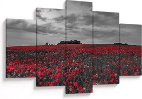 Tablou cu maci (150x105 cm)