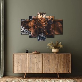Tablou cu câini dormind (150x105 cm)