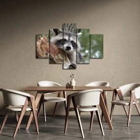 Tablou - Raton (150x105 cm)