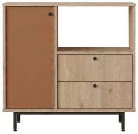 Comodă Rebutia 1 (Stejar + Cărămiziu) . 1102492