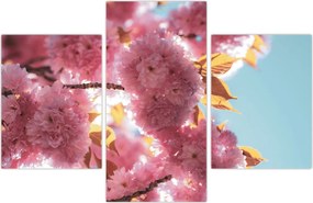 Tablou - Floare de cireș (90x60 cm)