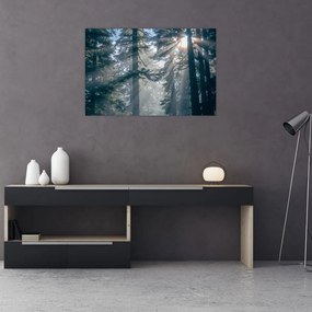 Tablou cu copaci și soarele translucind (90x60 cm)