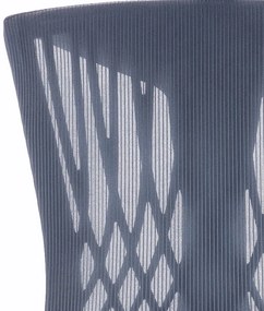 Ergomax ergonomic birou scaun pivotant gri-albastru