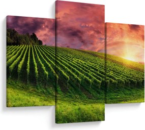 Tablou cu vie cu cerul color (90x60 cm)