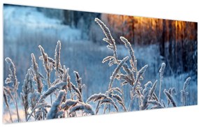 Tablou - Pajiște de iarnă (120x50 cm)