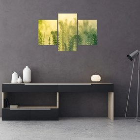 Tablou - Detaliu de primăvară natura cețoasă (90x60 cm)