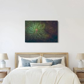 Tablou - Pin (90x60 cm)