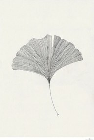 Poster 50x70 cm Ginkgo Leaf – Ana Frois – The Poster Club