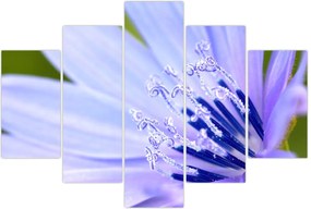 Tablou - Floare (150x105 cm)