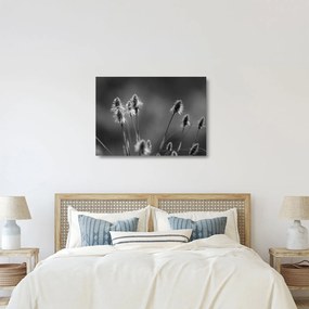 Tablou pe sticlă - Iarbă moale bej N⁰2 (70x50 cm)