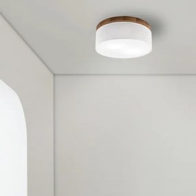 Plafonieră Brilagi BELLADONNA 2xE27/15W/230V d. 40 cm alb/stejar