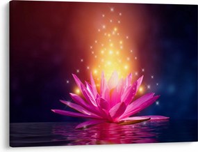Tablou cu lotus pe apă (70x50 cm)