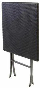 Masă de grădină și 2 scaune cu aspect de ratan, pliabile