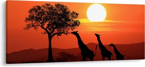 Tablou cu girafe în apus de soare (120x50 cm)