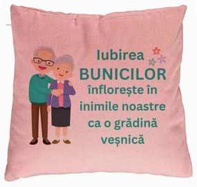 Perna Decorativa pentru Bunici 5, 40x40 cm, Roz, Husa Detasabila, Burduf