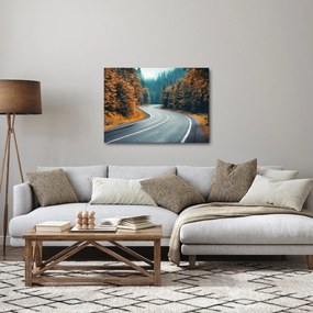 Tablou - Drumul cu serpentine (70x50 cm)