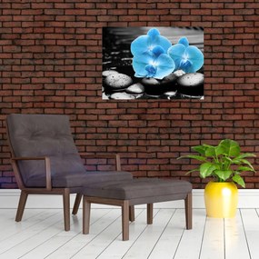 Tablou - Orhidee albastră (70x50 cm)