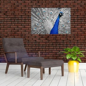 Tablou - păun albastru (90x60 cm)