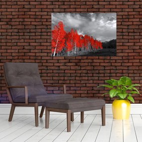 Tablou - Copaci în culorile toamnei (90x60 cm)