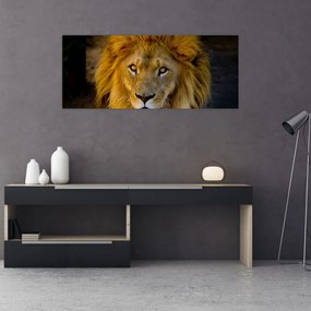 Tablou - Portret de leu (120x50 cm)