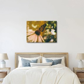 Tablou cu fluture pe floare (70x50 cm)