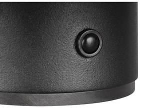 Aplică de perete negru-mat LED cu USB Davey – Trio